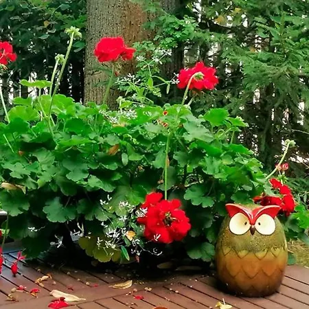 Bahnhof - Uebernachten Im Denkmal Droyssig