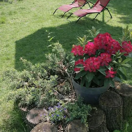 شقة Bahnhof - Uebernachten Im Denkmal Droyssig