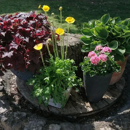 Bahnhof - Uebernachten Im Denkmal Droyssig