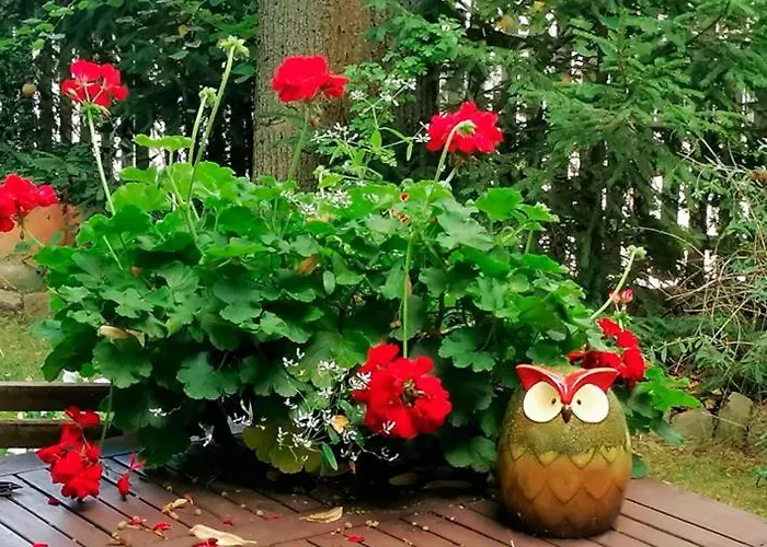 Bahnhof - Uebernachten Im Denkmal Droyssig