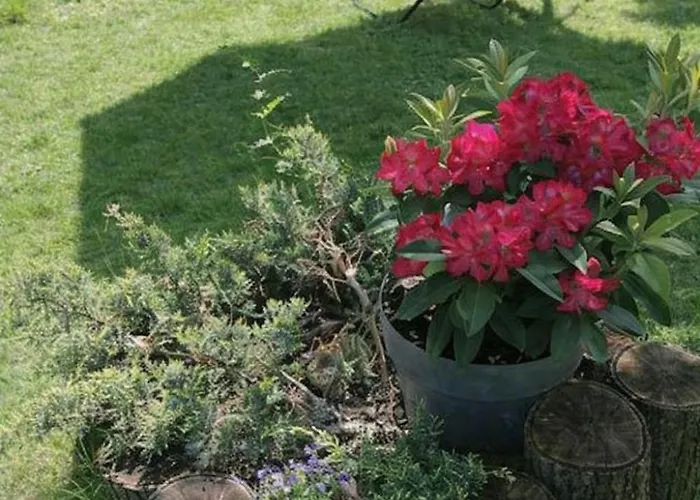 Apartamento Bahnhof - Uebernachten Im Denkmal Droyssig