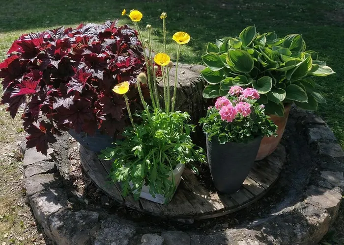 Bahnhof - Uebernachten Im Denkmal Droyssig